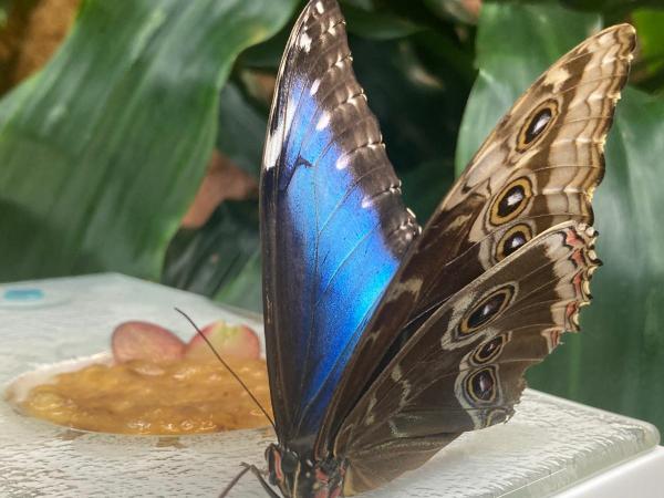 Školní družina- ředitelské volno 30.10.2025