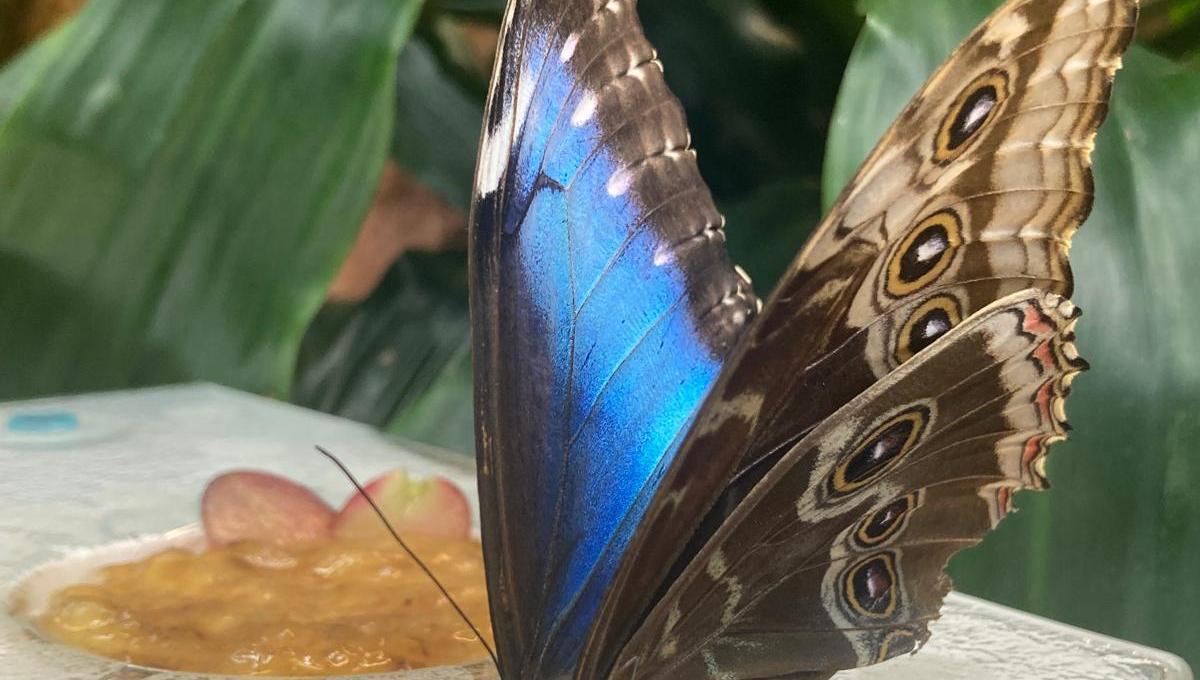 Školní družina- ředitelské volno 30.10.2025