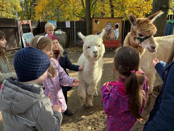 Školní družina 31.10.2025