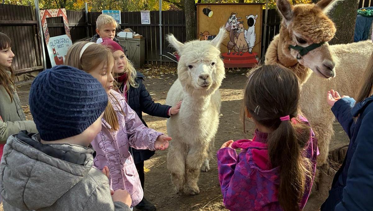 Školní družina 31.10.2025