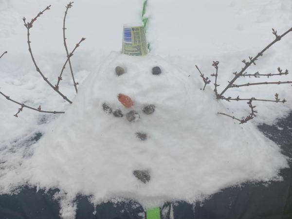 Pololetní prázdniny  - pátek 30. ledna 2026, jarní prázdniny 2.- 6.2.2026