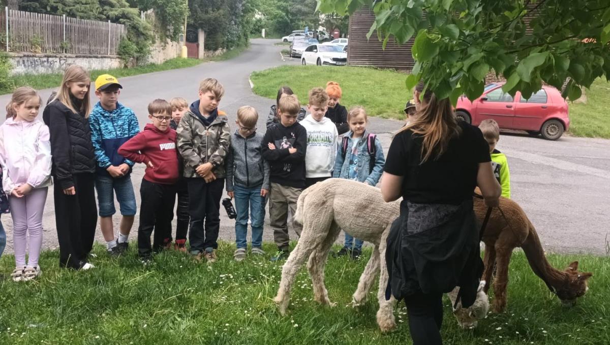 18.5.2026 - školní družina II. oddělení